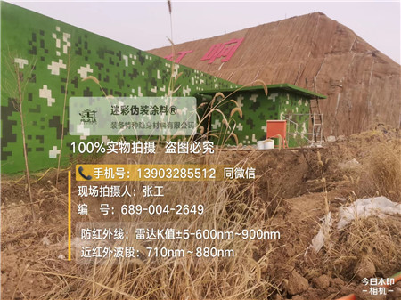 咸阳星空迷彩墙施工队