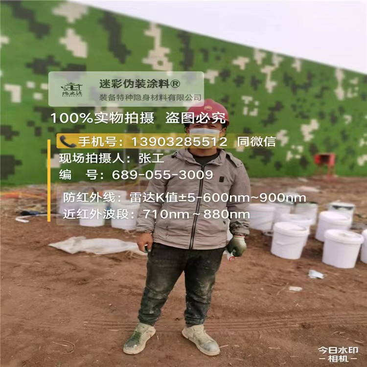 咸阳数字迷彩喷涂,和数码迷彩墙有区别吗