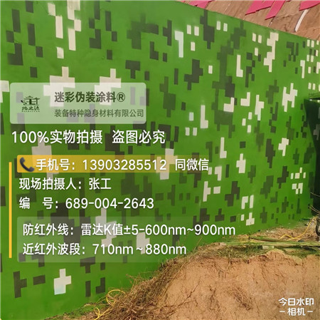咸阳星空迷彩漆，夏令营训练,数码迷彩作训墙,围墙